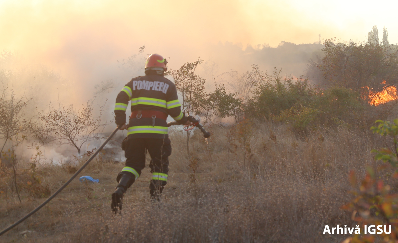O nouă zi cu foarte multe incendii de vegetație