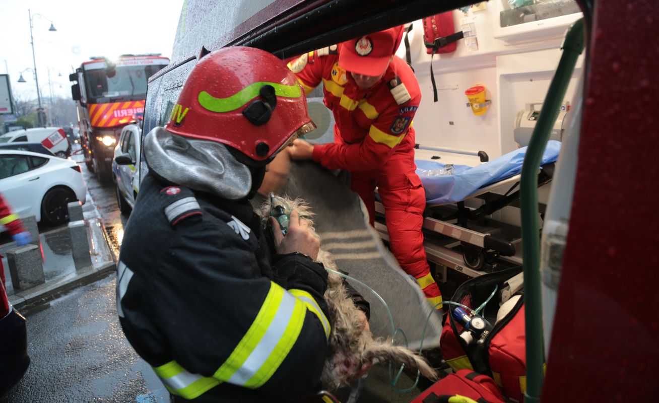 Peste 1.600 de misiuni și 17 persoane salvate, în ultimele 24 de ore