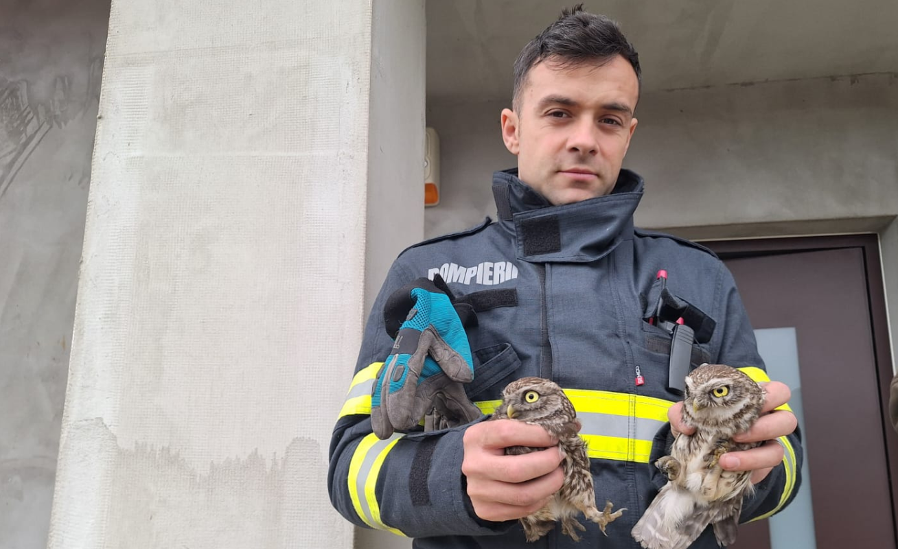 O misiune de salvare mai puțin obișnuită